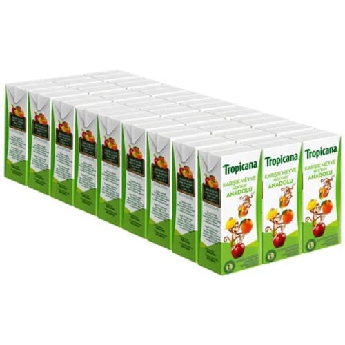 Meyve Suyu 200ml (27'li)